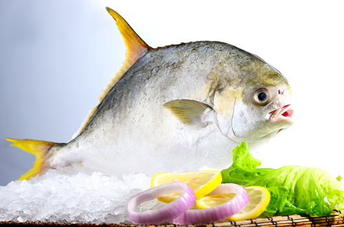 Gutted-and-Gilled-Golden-Pompano.jpg